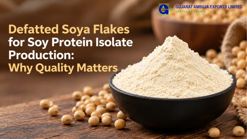 Defatted Soya Flakes for Soy Protein Isolate Production: Why Quality Matters