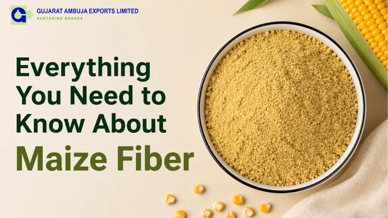 Everything You Need to Know About Maize Fiber