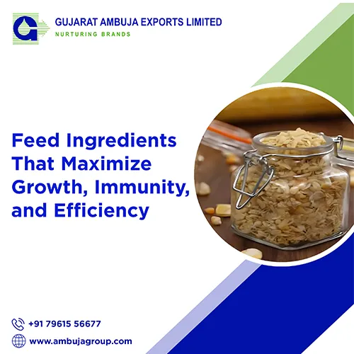 Feed Ingredients That Maximize Growth, Immunity, and Efficiency