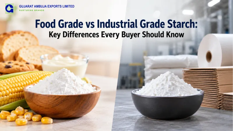Food Grade vs Industrial Grade Starch: Key Differences Every Buyer Should Know