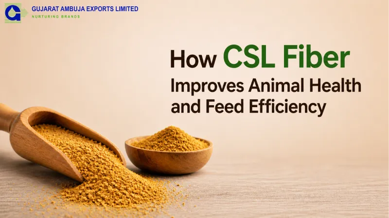 How CSL Fiber Improves Animal Health and Feed Efficiency