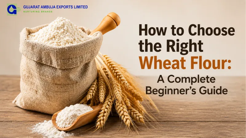 How to Choose the Right Wheat Flour: A Complete Beginner’s Guide