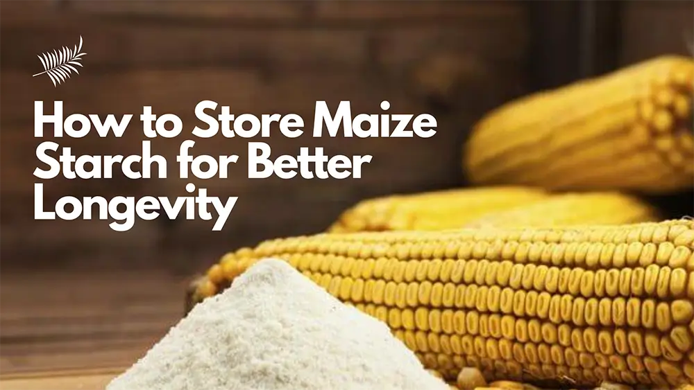 Store Maize Starch