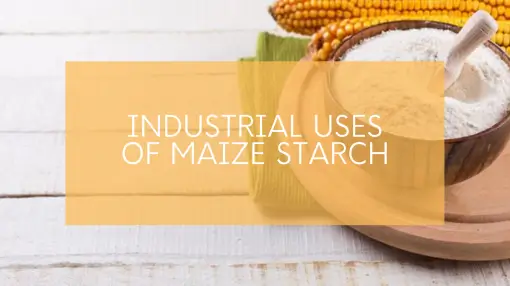 APPLICATIONS OF MAIZE STARCH