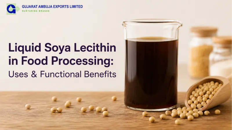 Liquid Soya Lecithin in Food Processing: Uses & Functional Benefits