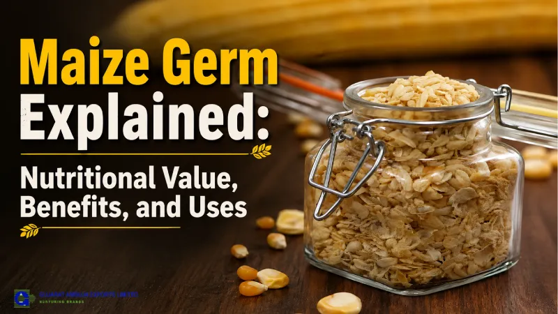 Maize Germ Explained: Nutritional Value, Benefits, and Uses