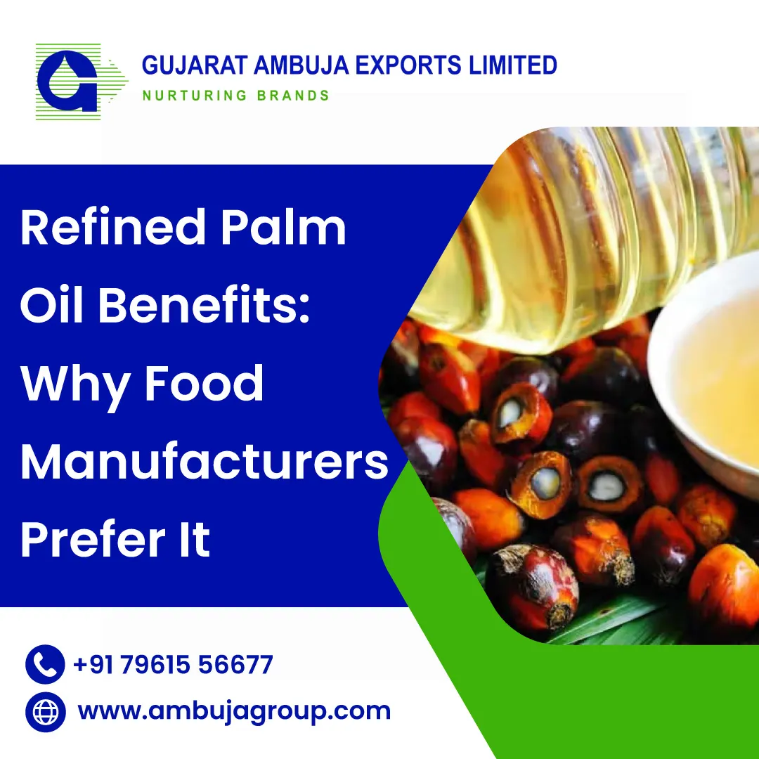 Refined Palm Oil Benefits: Why Food Manufacturers Prefer It