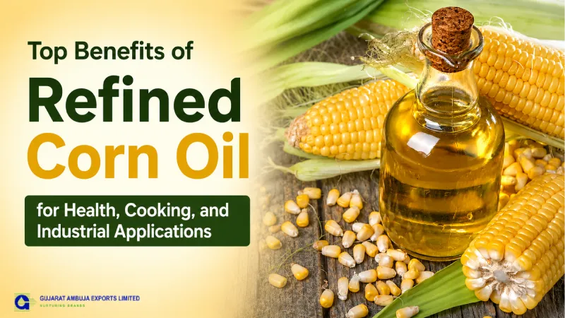 Top Benefits of Refined Corn Oil for Health, Cooking, and Industrial Applications