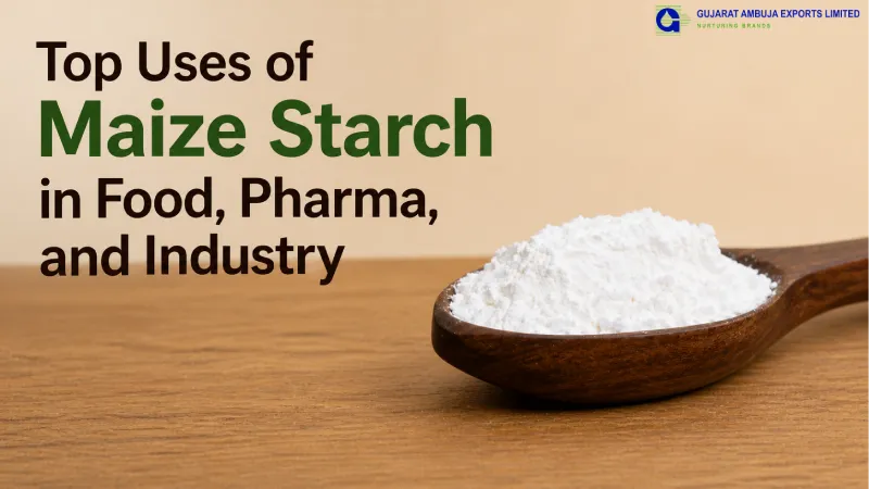 Top Uses of Maize Starch in Food, Pharma, and Industry