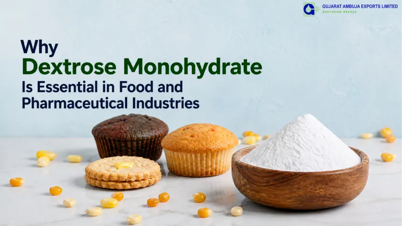 Why Dextrose Monohydrate Is Essential in Food and Pharmaceutical Industries