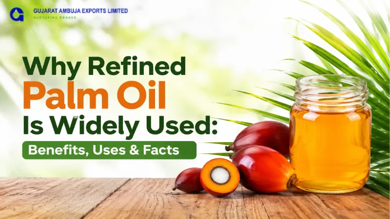 Why Refined Palm Oil Is Widely Used: Benefits, Uses & Facts