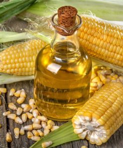 ambuja group - refined corn oil manufacturers in india
