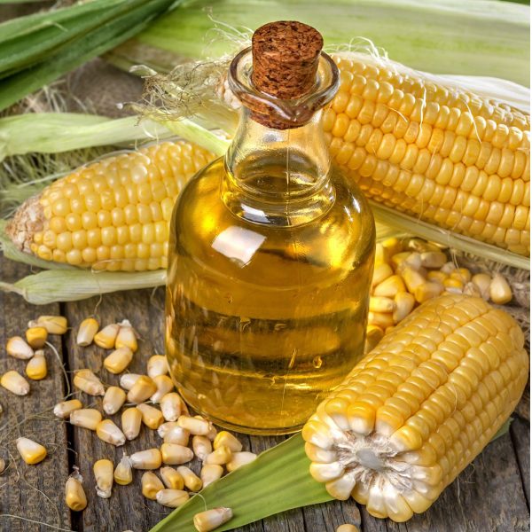 ambuja group - refined corn oil manufacturers in india