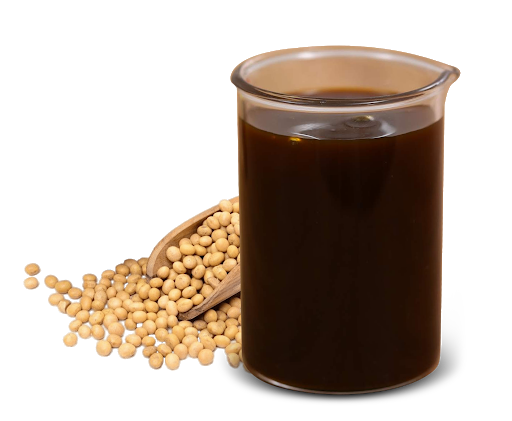 soya lecithin manufacturers in india